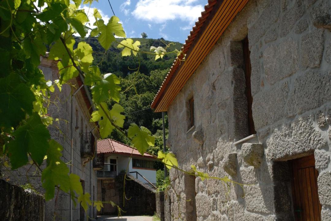 Photo of Buildings in Vieira do Minho