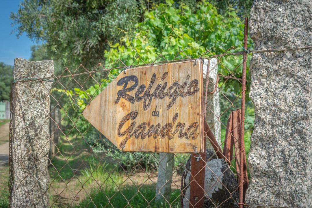 Photo of Others in Campos
