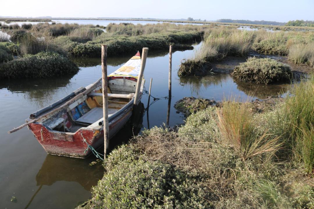 Photo of Others in Murtosa