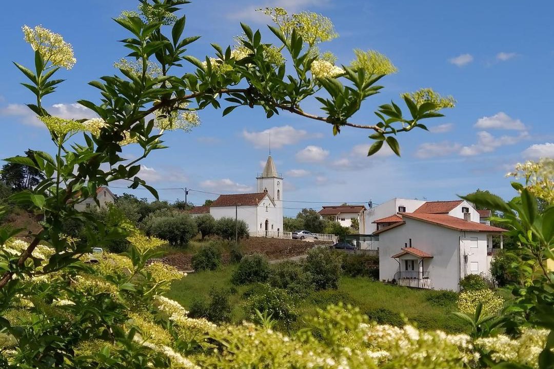 Photo of Others in Miranda do Corvo