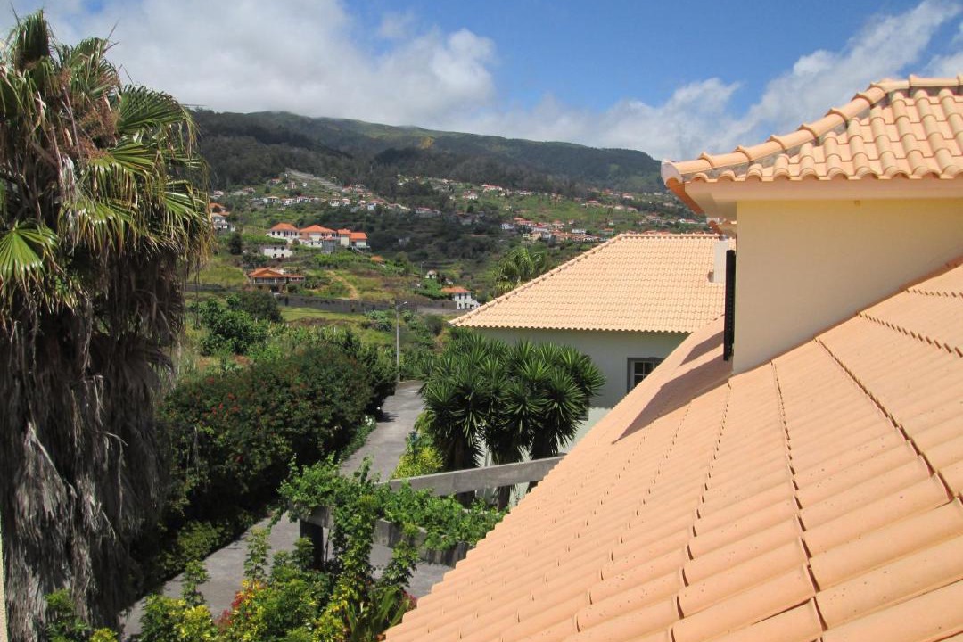 Photo of Others in Estreito da Calheta