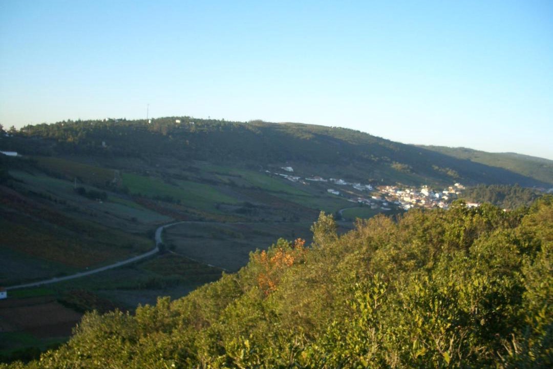 Photo of Others in Rio Maior
