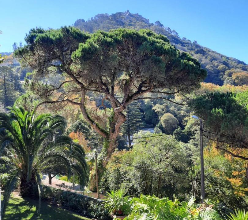 Photo of Others in Sintra