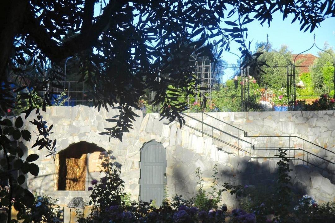 Photo of Others in Pedrogao Grande