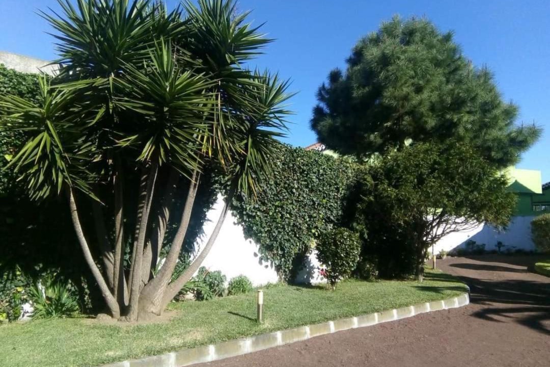 Photo of Others in Ribeira Grande