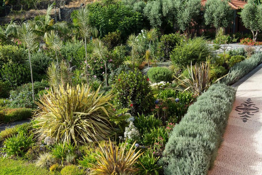 Photo of Others in Arco da Calheta