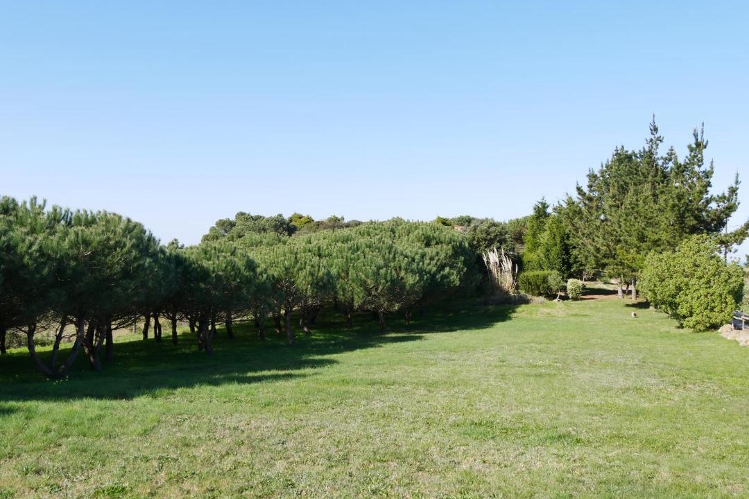Photo of Others in Serra da Pescaria