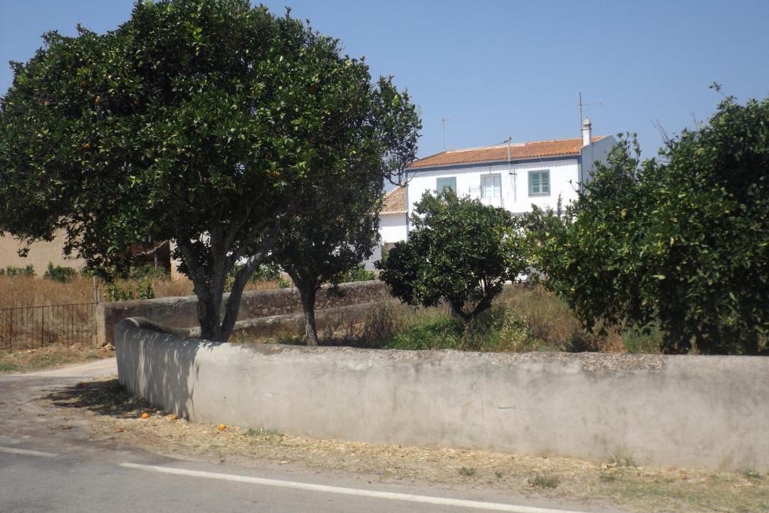 Photo of Buildings in Sargacal
