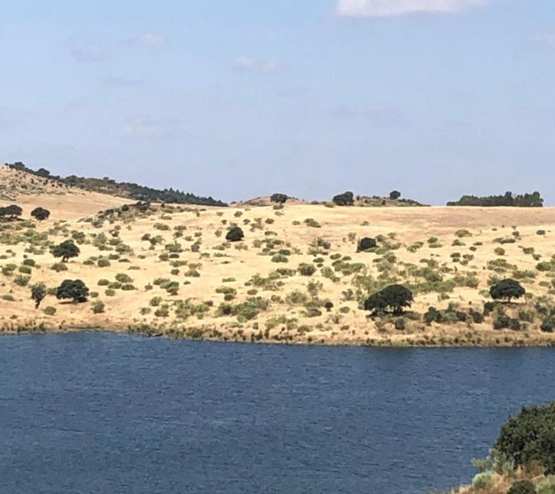 Photo of Others in Evora