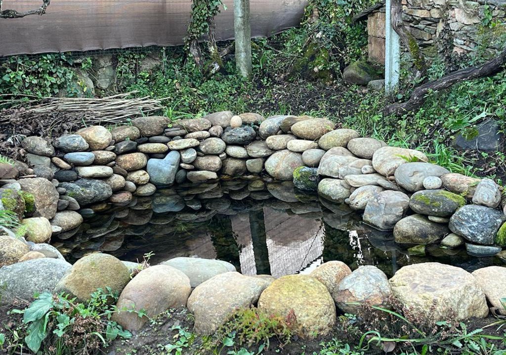 Photo of Others in Espiunca