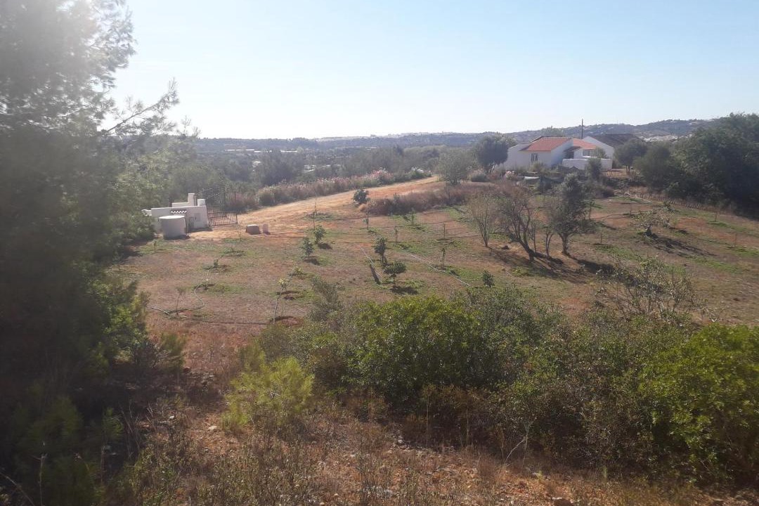 Photo of Outdoor in Sargacal