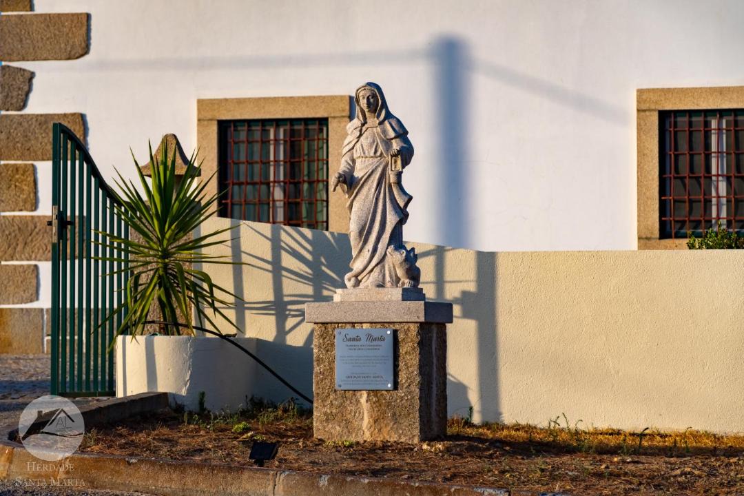 Photo of Others in Idanha-a-Nova