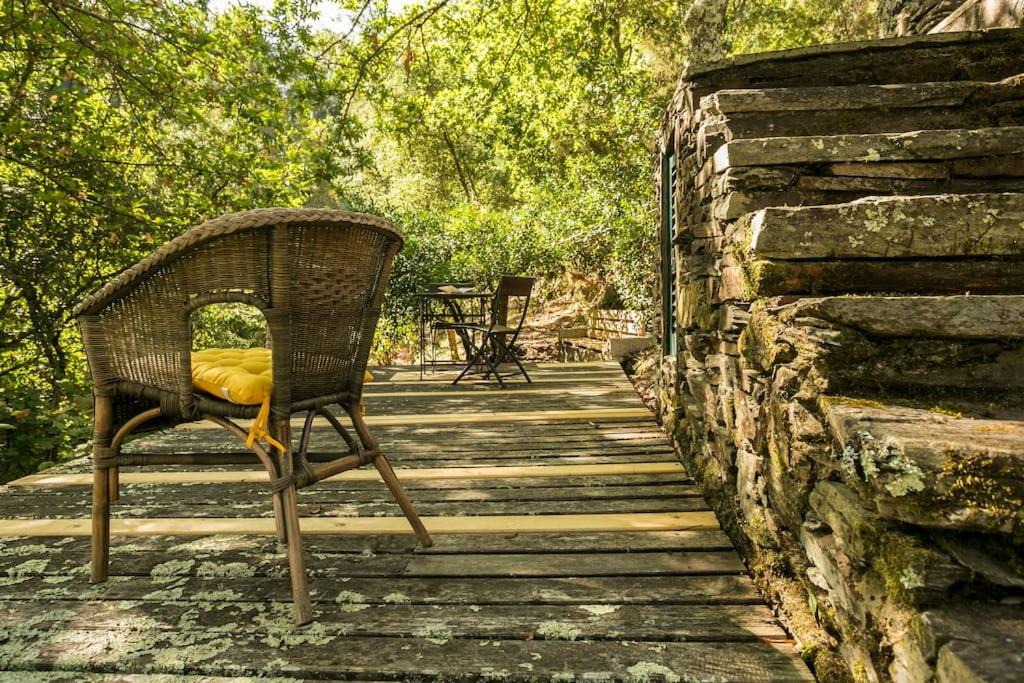Photo of Others in Castelo de Paiva