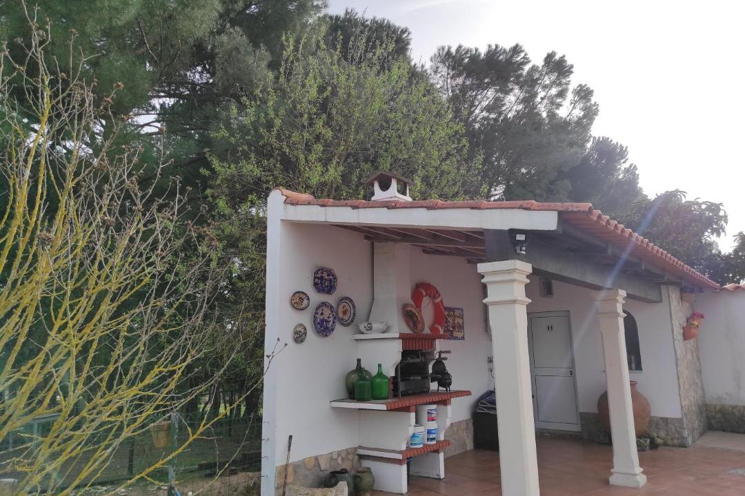 Photo of Others in Tomar