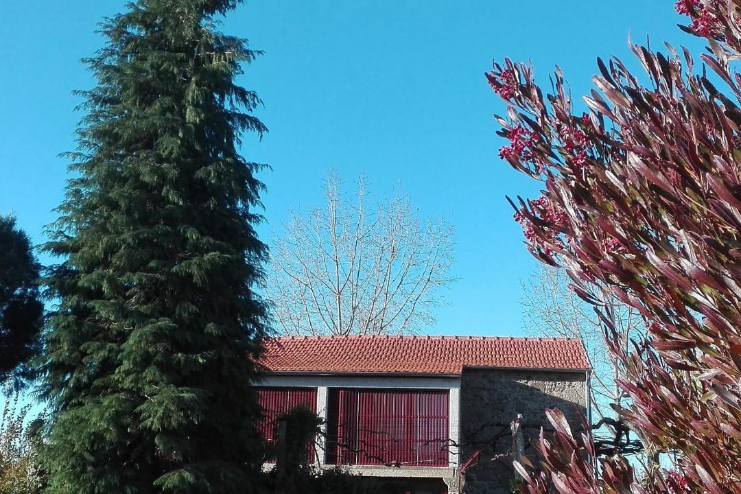 Photo of Others in Paredes de Coura