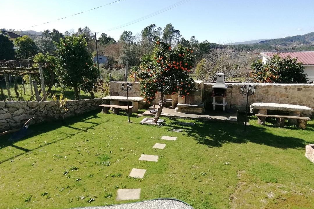 Photo of Others in Tamente