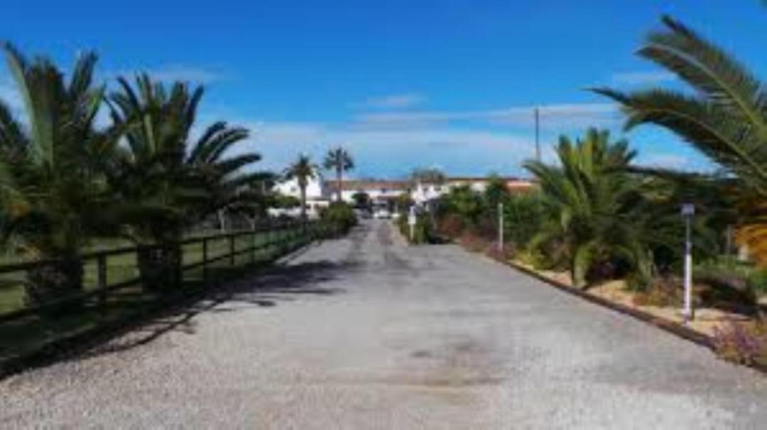 Photo of Others in Olhao