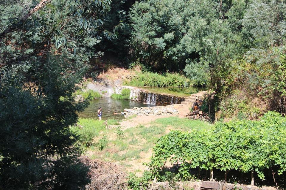 Photo of Others in Penela