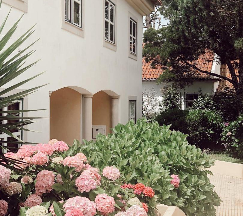 Photo of Buildings in Sao Pedro de Muel