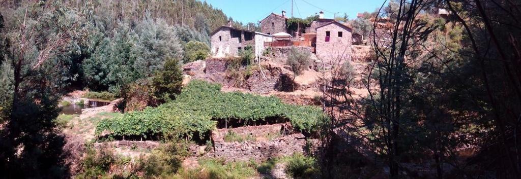 Photo of Others in Penela