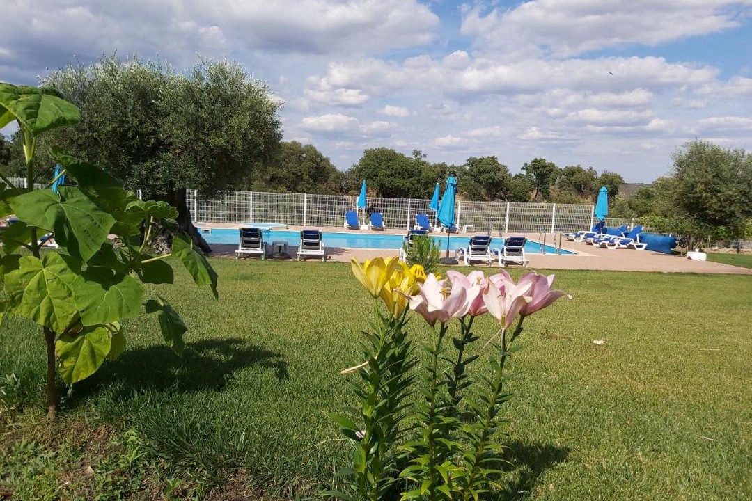 Photo of Outdoor in Pinhel