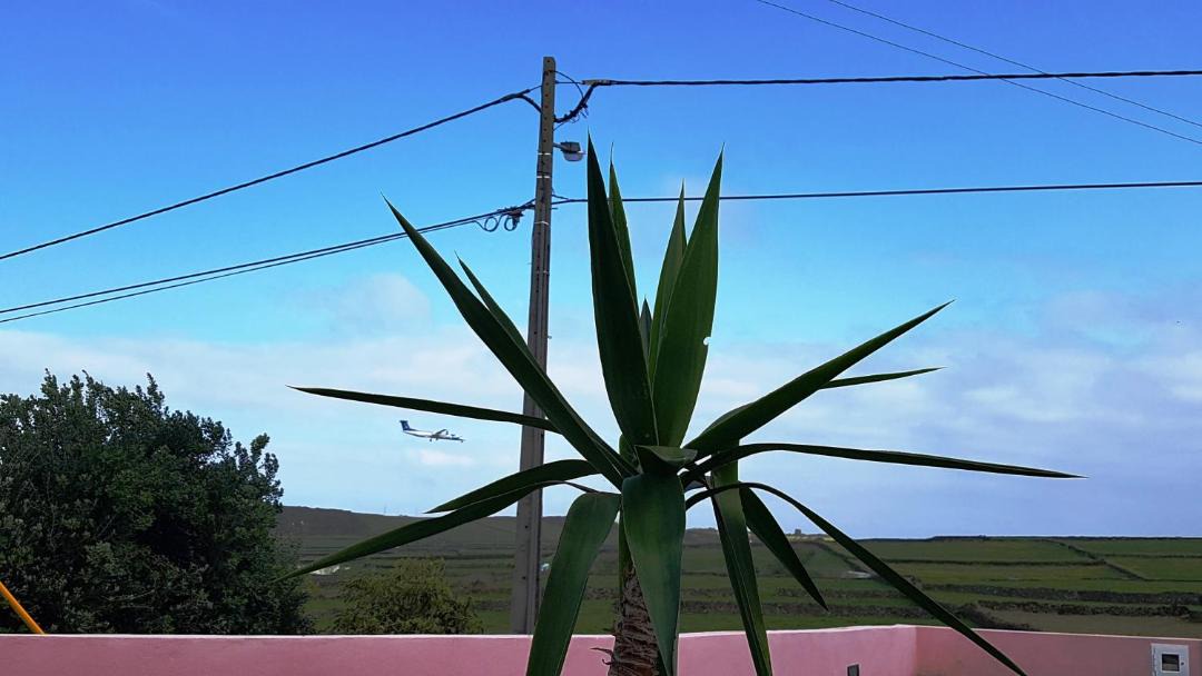 Photo of Others in Praia da Vitoria
