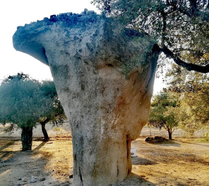 Photo of Others in Reguengos de Monsaraz