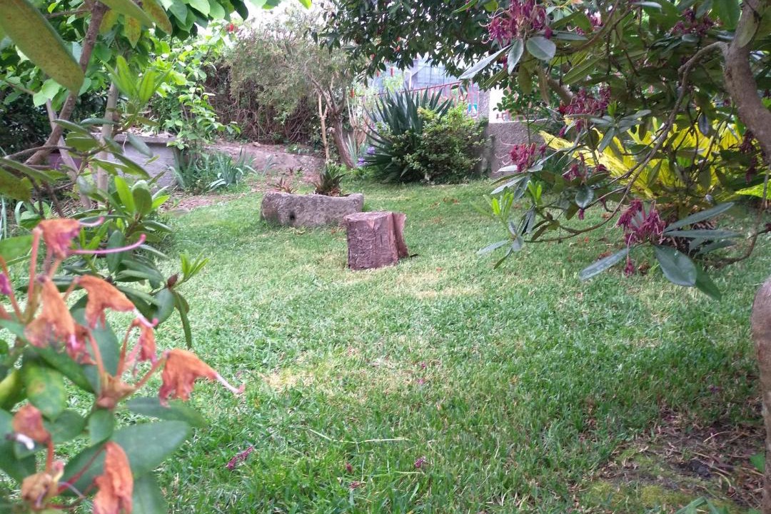 Photo of Others in Sao Tiaguinho