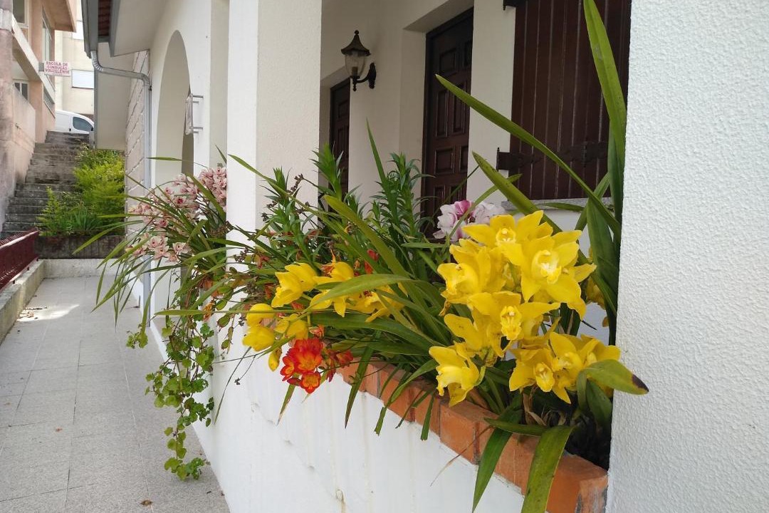 Photo of Others in Sao Tiaguinho