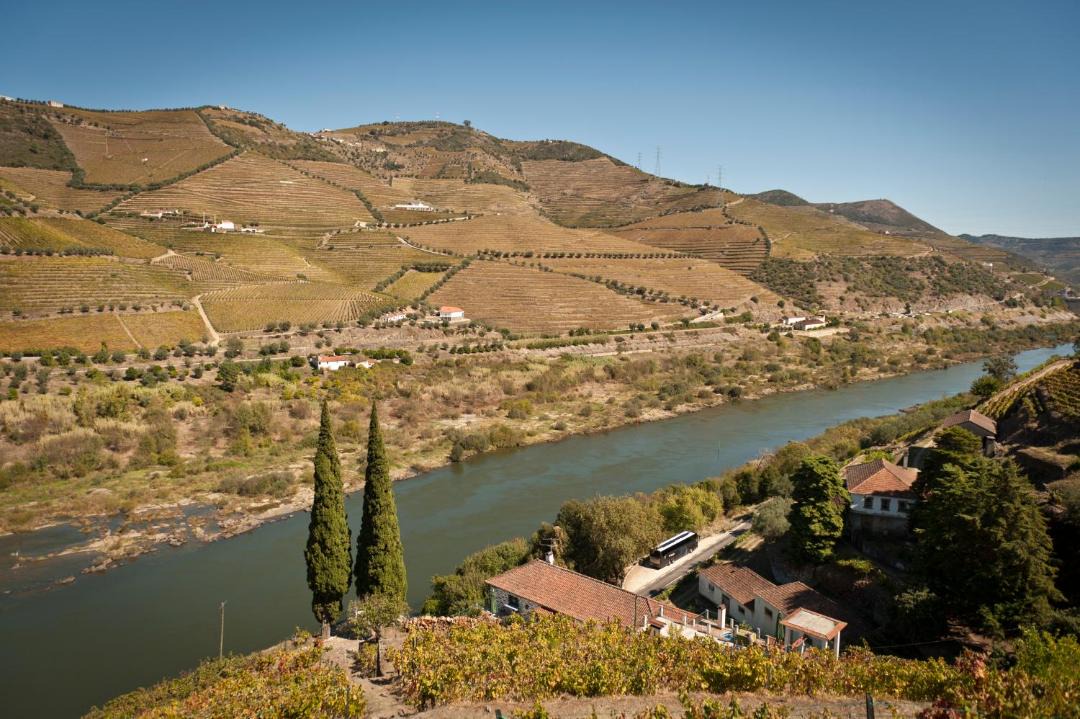 Photo of Others in Lamego