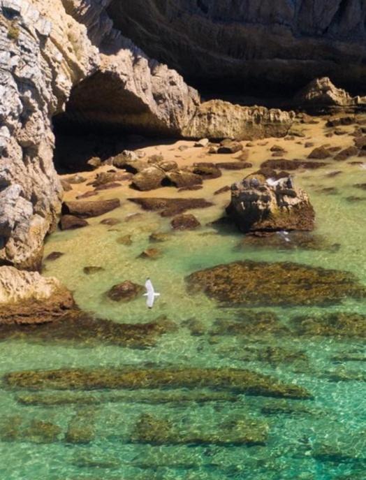 Photo of Others in Aldeia do Meco