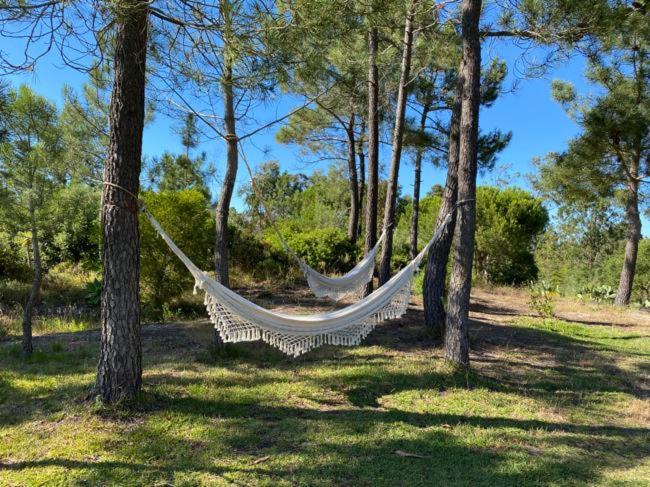 Photo of Outdoor in Aldeia do Meco