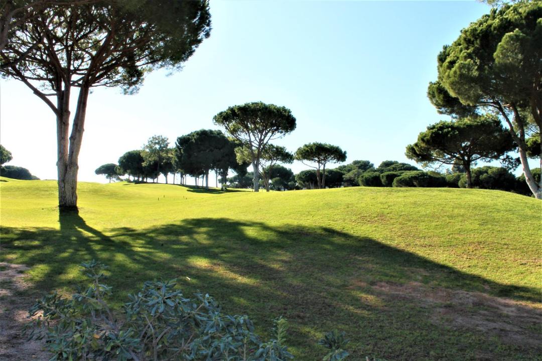 Photo of Outdoor in Vilamoura