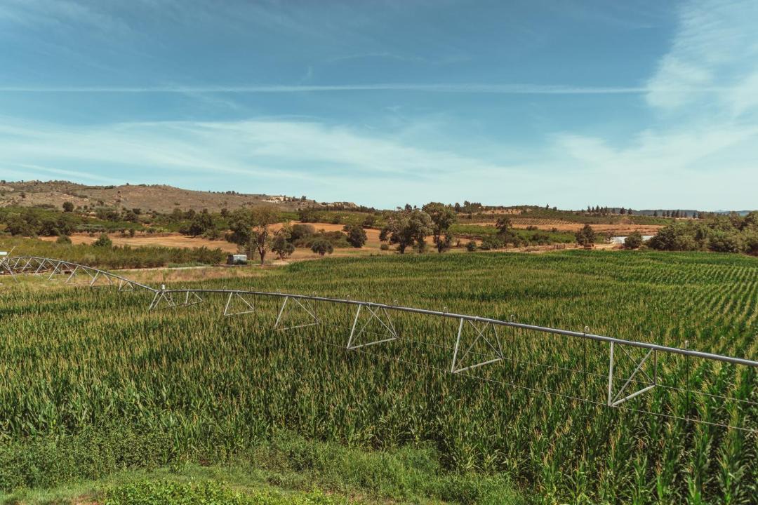 Photo of Others in Fundao