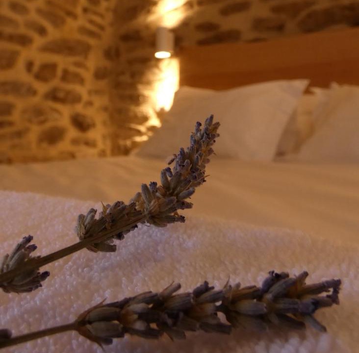 Photo of Bedroom in Figueira de Castelo Rodrigo