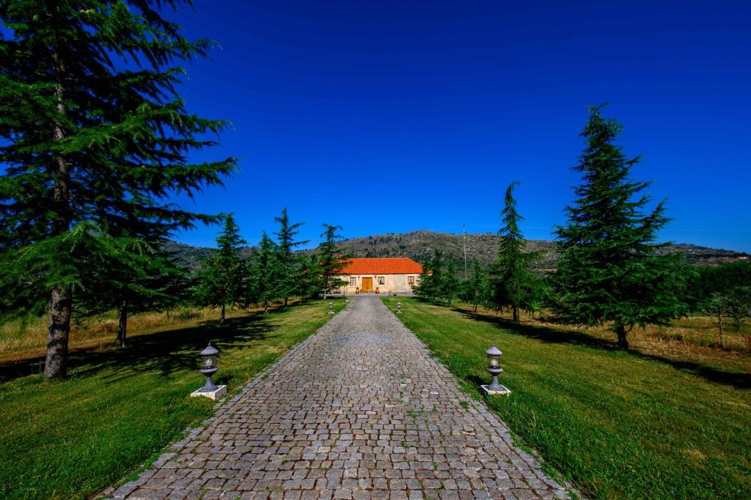 Photo of Others in Guarda