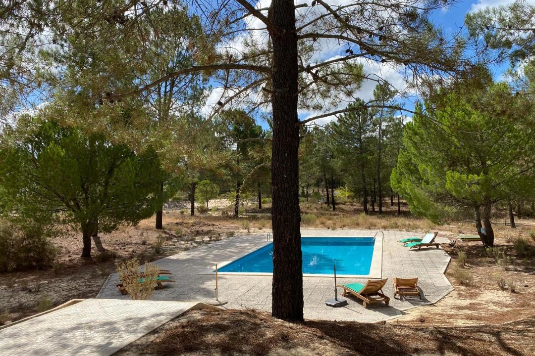 Photo of Outdoor in Santa Maria do Castelo