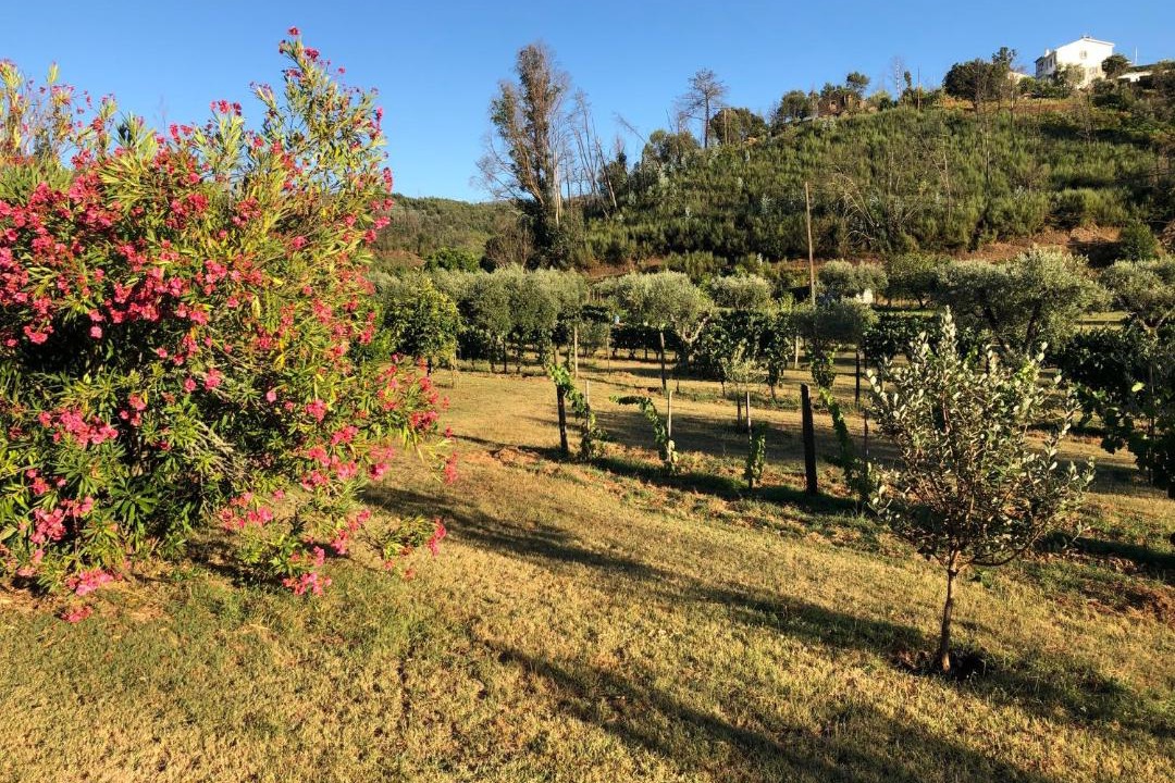 Photo of Outdoor in Moitas