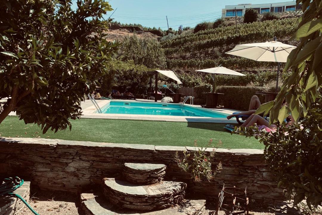 Photo of Others in Valenca do Douro