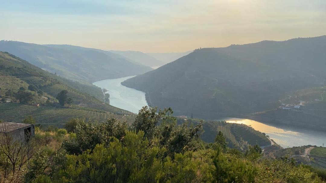 Photo of Others in Valenca do Douro