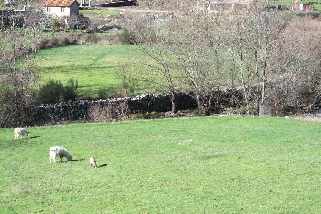 Photo of Others in Covilha