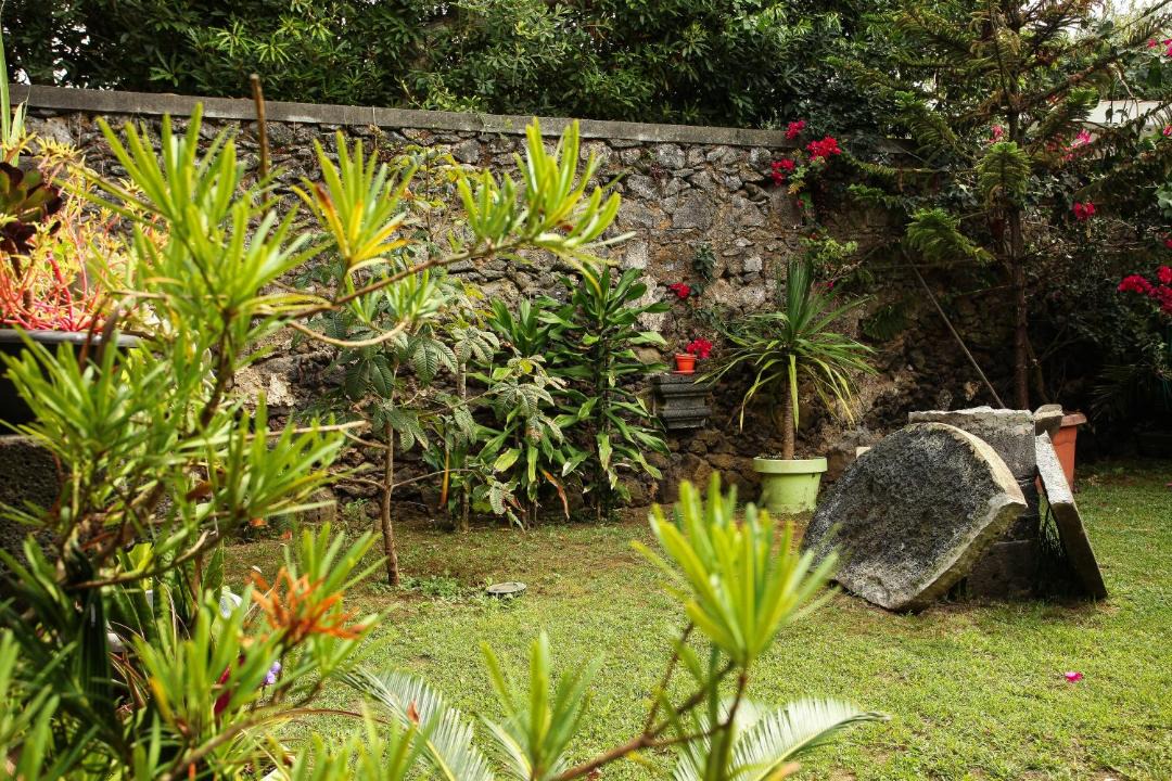 Photo of Others in Ribeira Grande