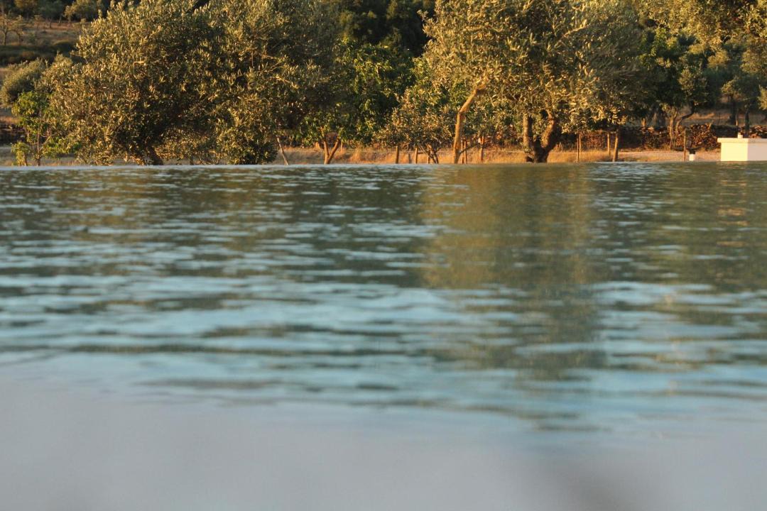 Photo of Others in Alandroal