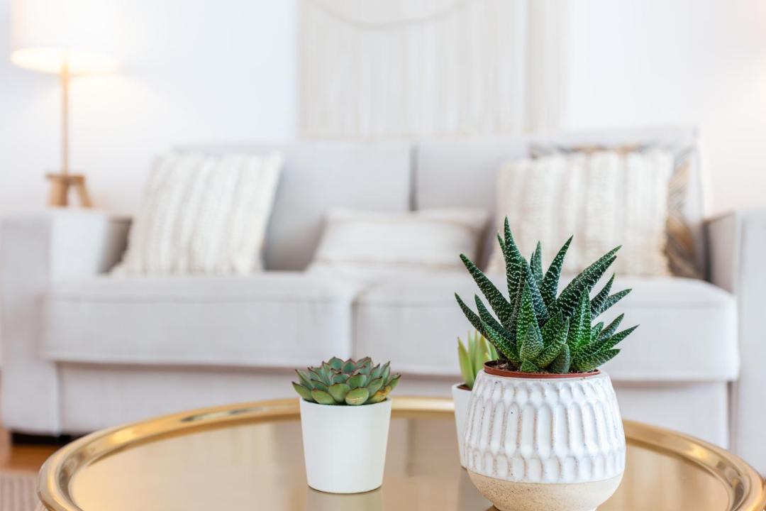 Photo of Livingroom in Telheiro