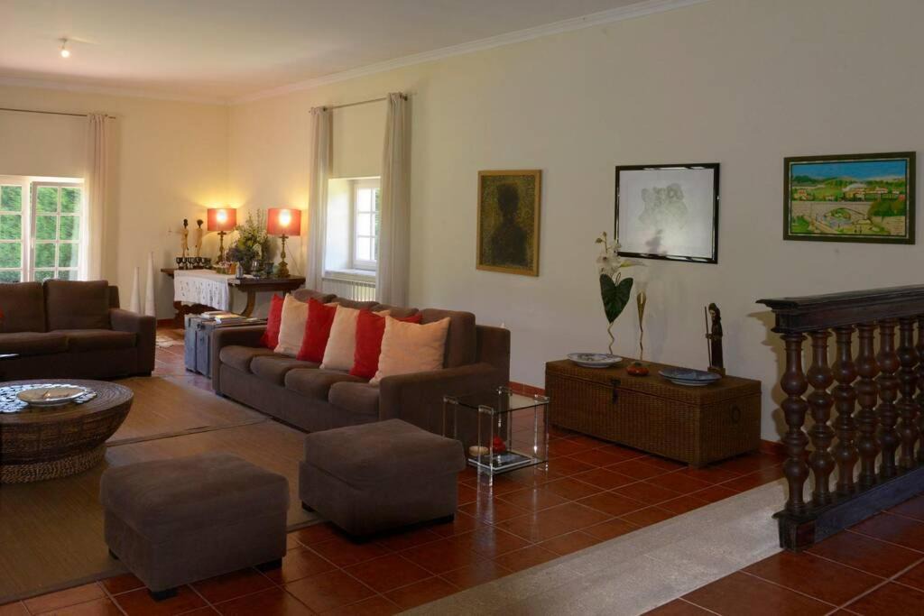 Photo of Livingroom in Bemposta