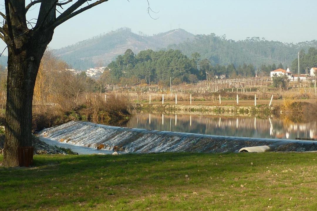 Photo of Others in Ossela