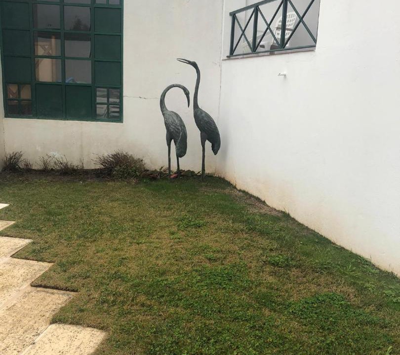 Photo of Others in Santa Maria da Devesa