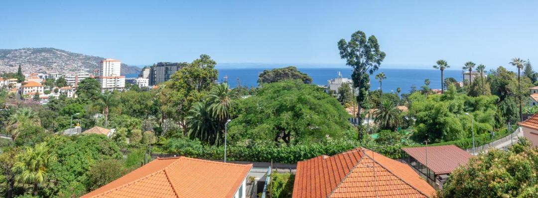 Photo of Others in Sao Martinho