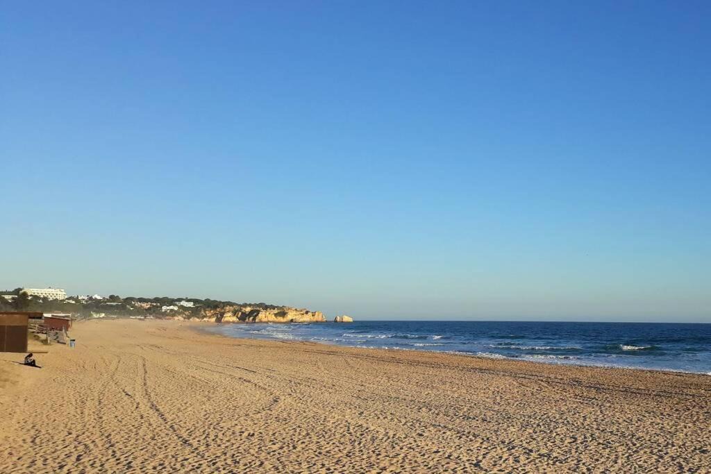 Photo of Outdoor in Alagoas