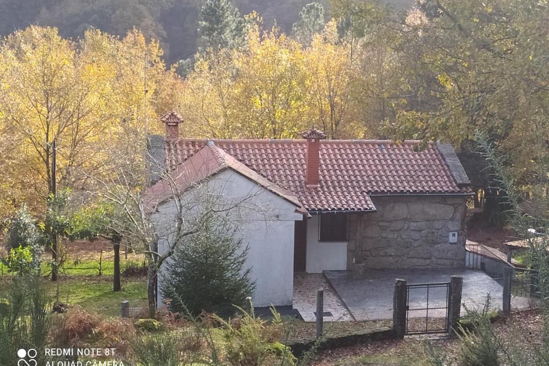 Photo of Others in Gavieira